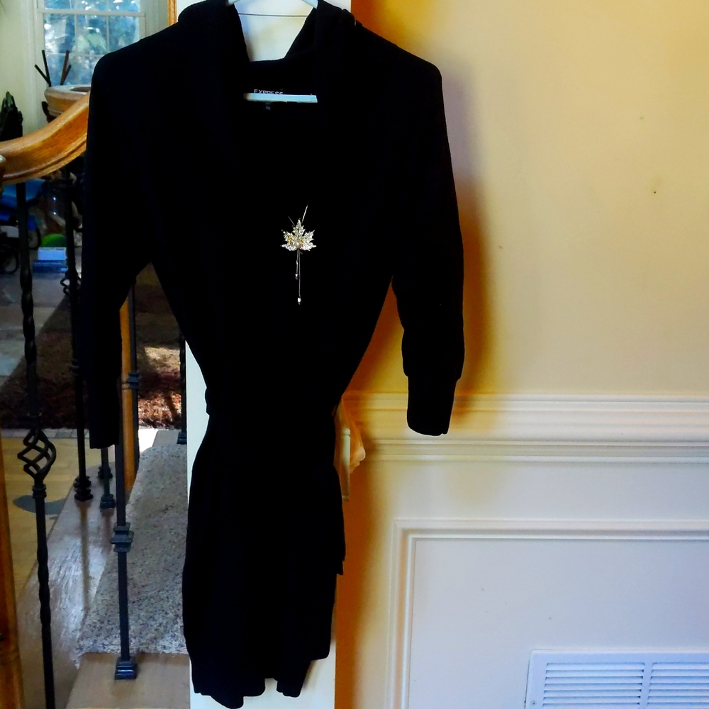 Express cowl neck knit sweater dress xs